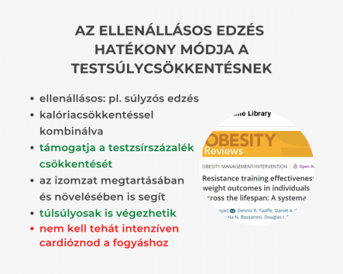 283401001_557138382426944_4305504891070644963_n