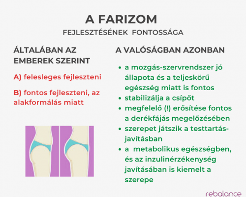 Egészségmegőrzést támogató szempontok az edzésben másolata másolata másolata másolata másolata (2)